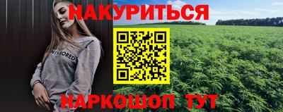стаф Канаш