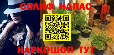 стаф Канаш